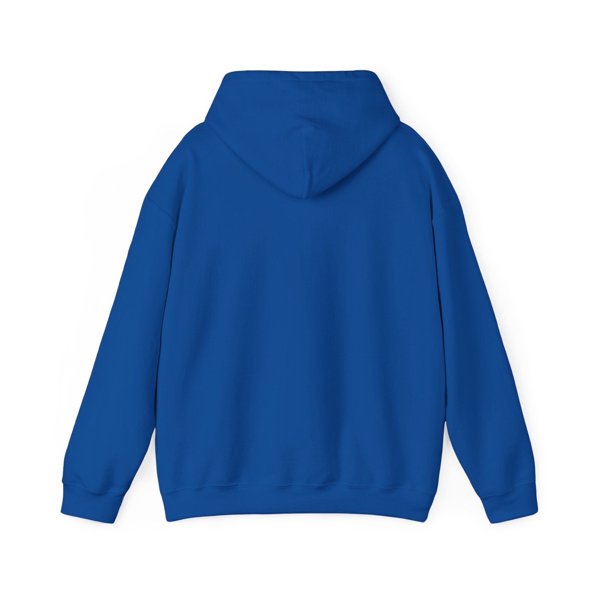 Fighter Jet Hoodie | Cozy Unisex Sweatshirt for Space Lovers, Ideal Gift for Birthdays, Holidays, and Casual Wear