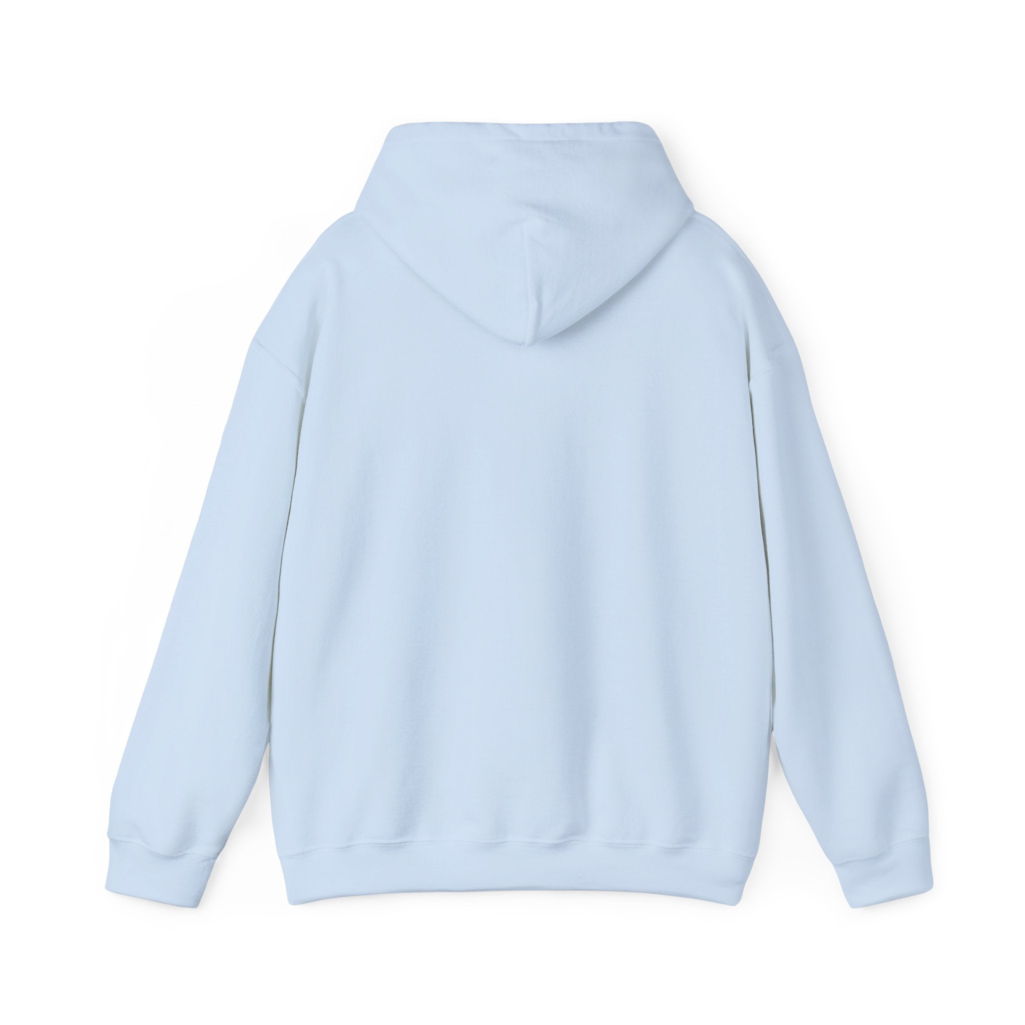 Cute Earth Character Hoodie, Unisex Sweatshirt, Gifts for Nature Lovers, Eco-friendly Apparel, Earth Day, Cozy Fashion